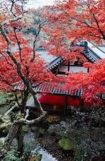 成人一区二区三区-成人教育的多元化路径，一区、二区、三区的探索与融合