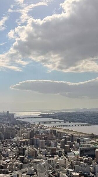 国产欧美日韩av在线-国产与海外成人影视的多元视角，文化、市场与观众偏好