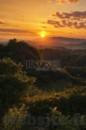 快猫回家视频麻豆在现-快猫回家，麻豆的尝鲜之旅