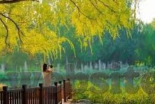麻豆传媒精品视频-绝不妥协的边界，揭开麻豆传媒现象的神秘面纱