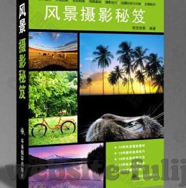 日韩av一道本-日韩AV文化，一道本与文化现象的深度探索