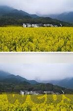 糖心app下载汅ios免费-勇敢前行，探索新科技与享受生活的平衡